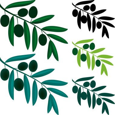 Yeşil ve siyahın çeşitli tonlarında zeytin dalı sembolü.