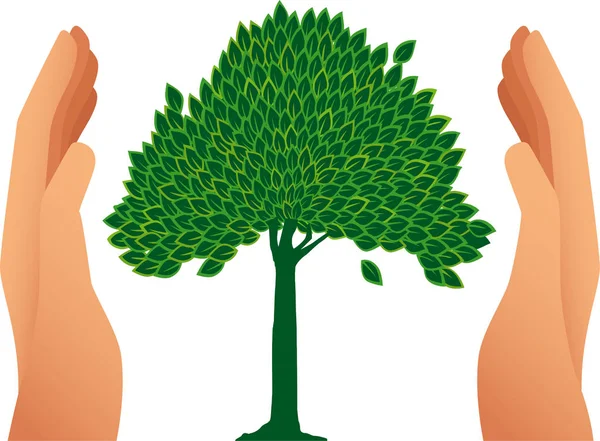 Две руки заботятся о рисунке дерева. Концепция окружающей среды . — стоковый вектор