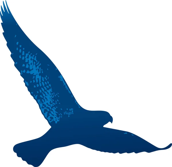 Vereinzelter fliegender Falke in Blautönen gezeichnet. — Stockvektor