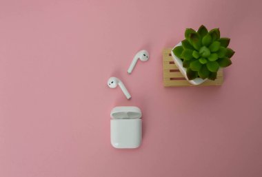 wireless white headphones on a pink background next to a home green flower. Copy space clipart
