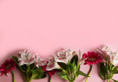 gerbera ve alstroemeria çiçekleri pembe bir arka plan üzerinde bir satır ortaya koydu. Düz yatıyordu, üst görünüm, kopya alanı Doğum günü, Anne, Sevgililer, Kadın, Düğün Günü kavramı. 