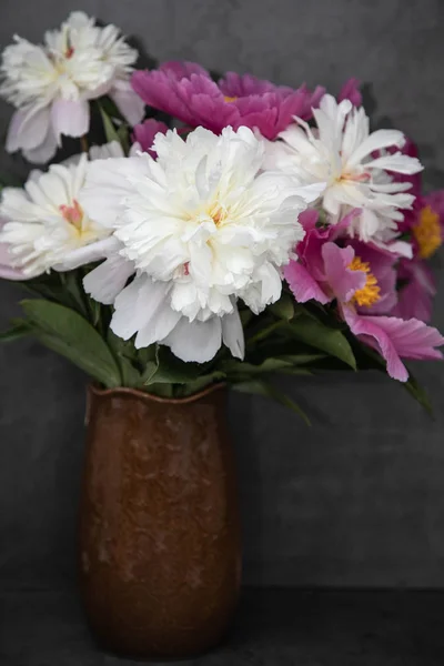 Ein Strauß weißer und rosa, purpurfarbener Pfingstrosen in einer braunen Vase auf grauem Hintergrund. Blumen auf dunklem Hintergrund. — Stockfoto