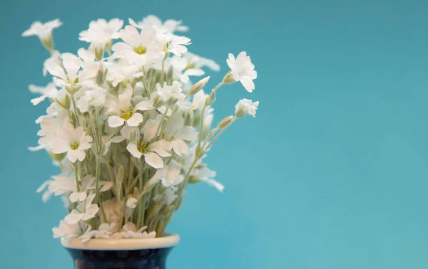Kleine weiße Blüten in einer Vase. ein Strauß Blumen yaskolki in einer Keramikvase Nahaufnahme. Blumen in einer blauen Vase mit einem Muster auf blauem Hintergrund — Stockfoto