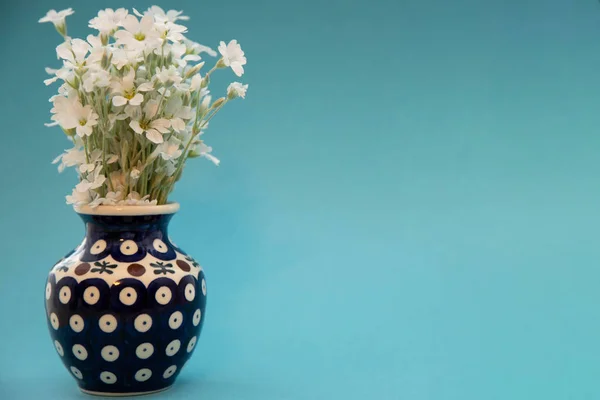 Petites fleurs blanches dans un vase. Un bouquet de fleurs yaskolki dans un vase en céramique gros plan. Fleurs dans un vase bleu avec un motif sur un fond bleu — Photo