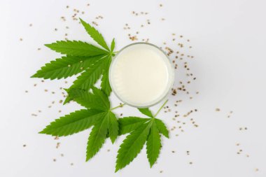 Yeşil kenevir yapraklarının üzerinde tohumlardan elde edilen bir bardak kenevir sütü. Bitkilerden ev yapımı süt. Metin için yer.