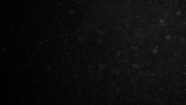 Плавающие Частицы Органической Пыли Черном Фоне Медленном Движении Цикл Анимации — стоковое видео