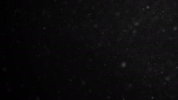 Seamless Dust Particles Flying in the Wind on Black Background in Slow  Motion. Looped 3d Animation of Floating Dots in the Air With Bokeh. 4k  Ultra HD 3840x2160 — Stock Video ©