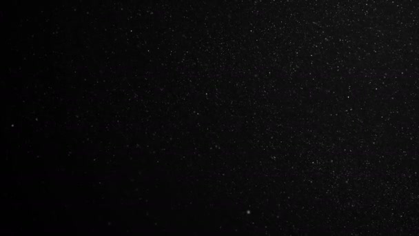 Floating Dust Particles on Black Background in Slow Motion Like Stars in Space. Looped 3d Animation. Dynamic Wind Particles Flying In The Air Seamless. 4k Ultra HD 3840x2160 — Stock Video