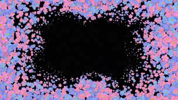 Όμορφη αυξανόμενη λουλούδια ηελοχάρης που καλύπτει την οθόνη. Ανθισμένα μπλε ροζ λουλούδια Animation με άλφα Ματ. Χρήσιμο για μεταβάσεις. Ανοιξιάτικη φύση και νέα αντίληψη της ζωής. 4 k Ultra Hd 3840 x 2160 — Αρχείο Βίντεο