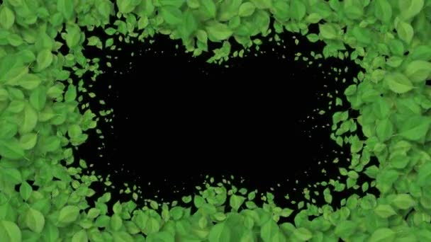 Vackra växande gröna blad som täcker skärmen. Växande lövverk animation med alpha matte. Användbart för över gångar. Vår natur och konceptet New Life. 4k Ultra HD 3840x2160 — Stockvideo