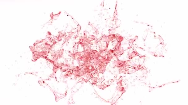 Abstrait Isolé Éclaboussure Couleur Liquide Avec Bulles Animation Masque Alpha — Video