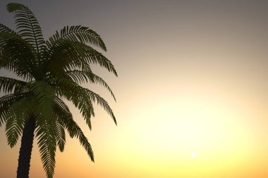 Gün batımının önünde palmiye ağacı ve gökyüzü arkaplanı olan güzel manzara - 3D Görüntü