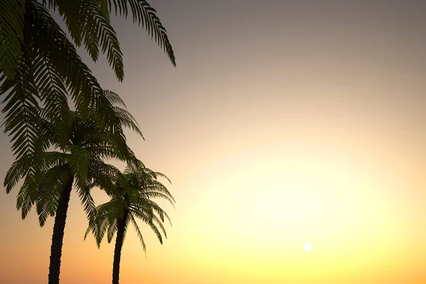 Schöne Landschaft Mit Palme Vor Sonnenuntergang Und Himmelshintergrund Illustration — Stockfoto