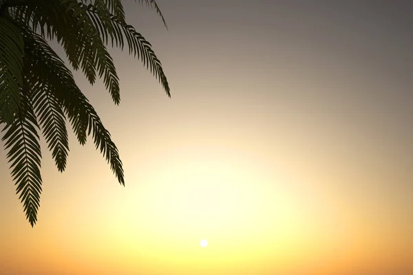 Beautiful Landscape Palm Tree Front Sunset Sky Background Illustration — Stock Photo, Image