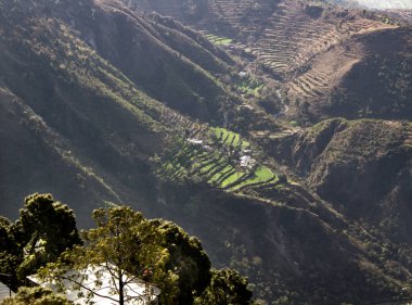 Himalaya üssünün Hilly bölgelerinde teras tipi tarım. Bağla