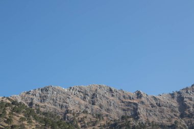 Geniş mavi gökyüzü ve ormanları ve ağaçları olan gri dağ sırası.