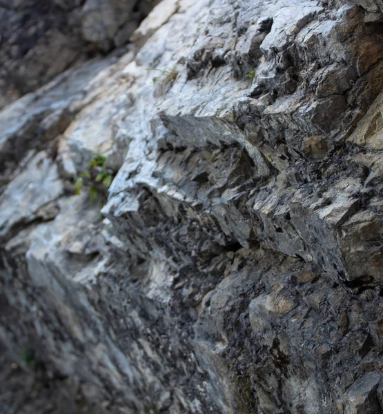 Macro shot of grey black rocks with rough textured surface. Life — Stock Photo, Image