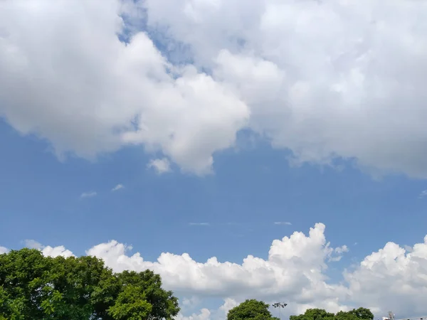 Niedrige Winkelaufnahme Von Wolkenlosem Blauem Himmel Mit Baumkronen Einem Hellen — Stockfoto
