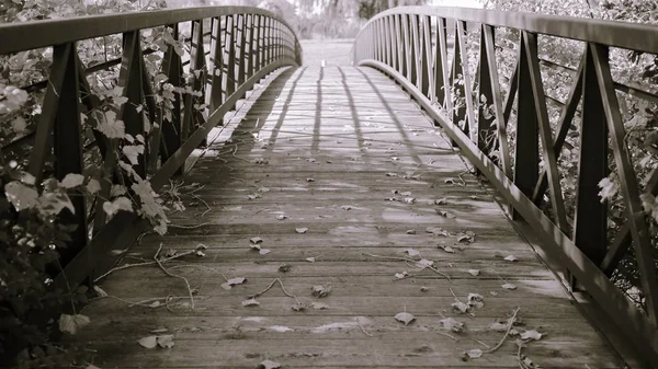 Puente decorativo Split-toned Imagen De Stock
