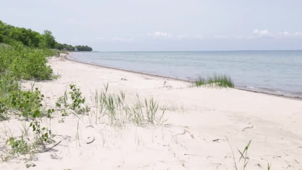 波は静かに夏の日に明るい色の砂でビーチにクラッシュ — ストック動画