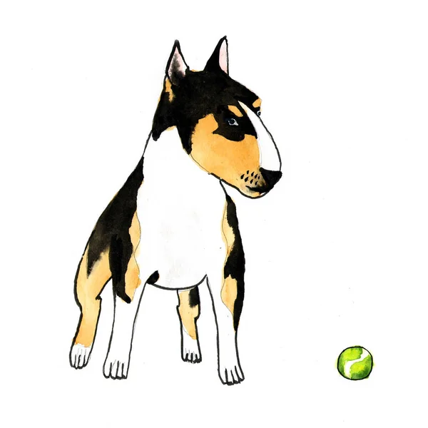 Çizim köpekler suluboya 