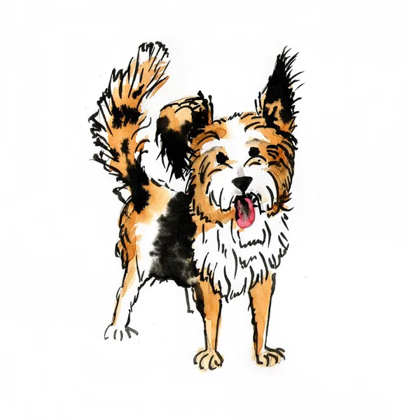    Çizim köpekler suluboya 