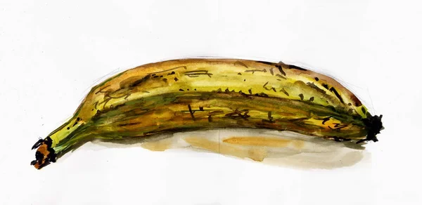 Disegno Acquerello Banana Matura Gialla — Foto Stock