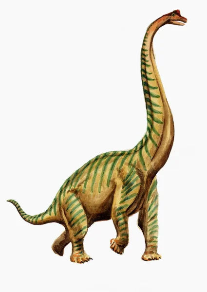 Akvarell Rajz Dinoszaurusz Brachiosaurus Stock Kép