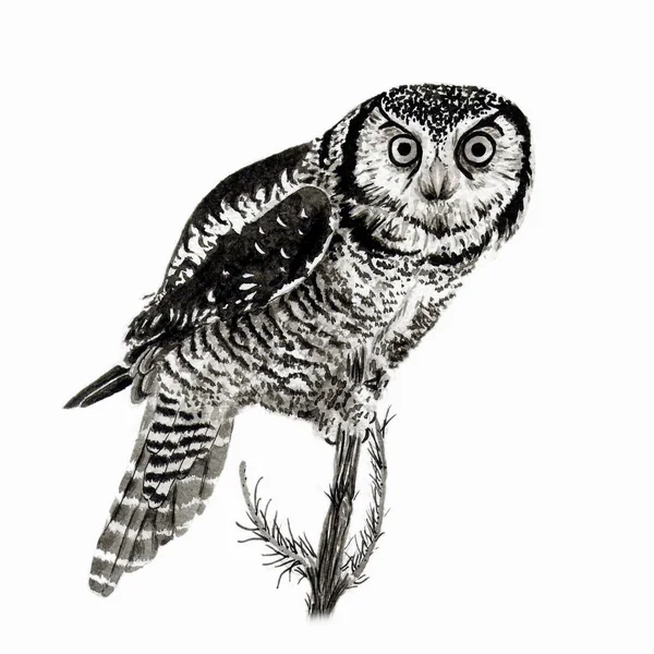 Drawing ink and brush 