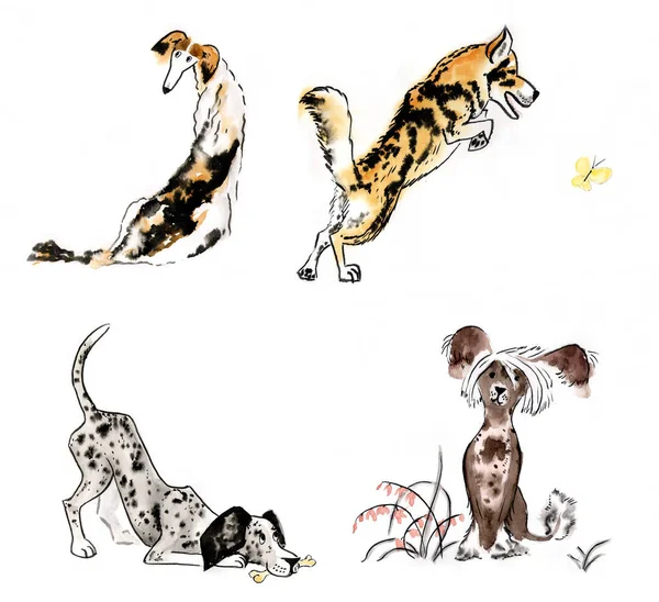 Watercolor drawings of dogs 