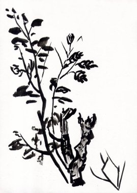 Çizim mürekkemi ve fırça 