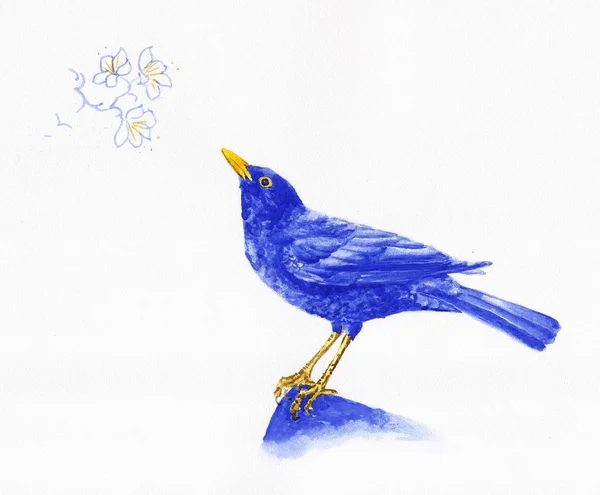 Watercolor Drawing Bird Bluebird Stock Kép