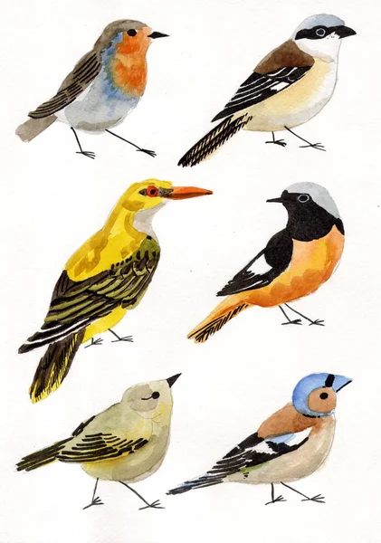 Акварельный Рисунок Комплект Шести Мигрирующие Птицы — стоковое фото