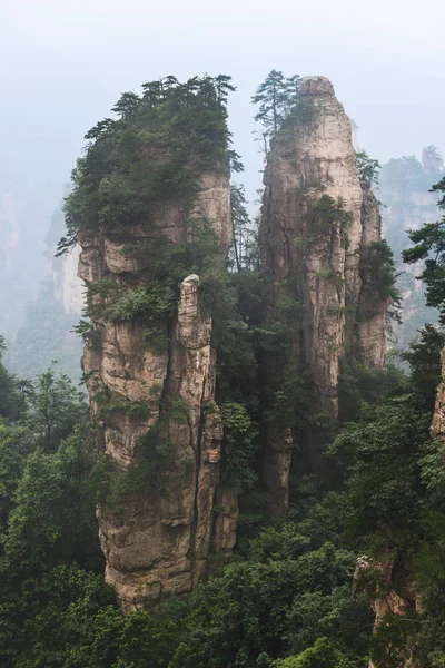 Zhangjiajie Ulusal Orman Parkı — Stok fotoğraf