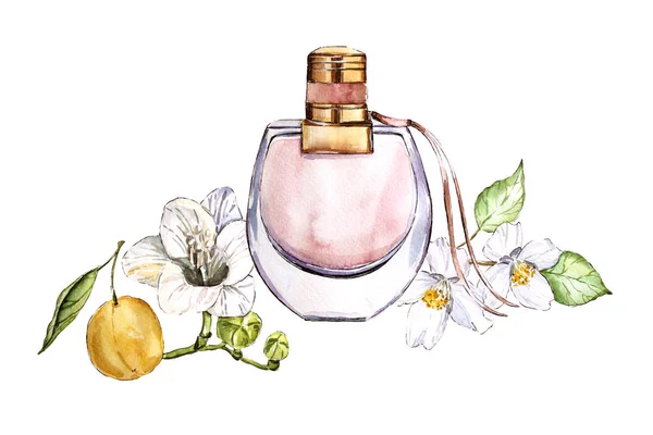 Aquarel Schoonheid Vrouwen Roze Parfum Met Bloemen Witte Freesia Jasmijn — Stockfoto