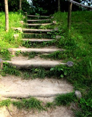 Yeşil çimenler, kütükler ve güneş ışınları ile doğal yakın merdivenler. İnsanlar olmadan yaz güneşi arka plan.