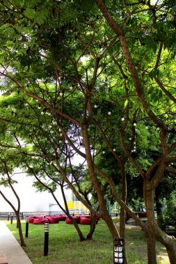 Mimari dekoratif elemanları ile peyzaj tasarım outdor dış. Yeşil doğa ilkbahar ve yaz arka plan.