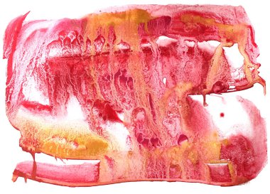 Soyut suluboya ve guaj sıçraması arka plan benzer el çizilmiş boyama. Soyut boyama, duvar kağıtları, posterler, kartlar, davetiyeler, web siteleri için trendy bir arka plan olarak kullanılabilir