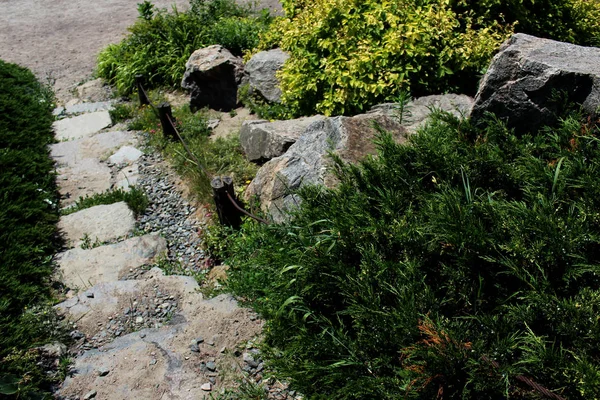 Naturstig Stora Stenar Som Leder Ner — Stockfoto