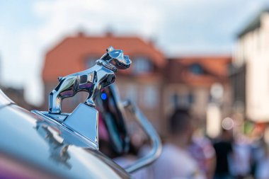 Mack Trucks Bulldog Orijinal Orijinal Cilalı Krom Başlık Süs