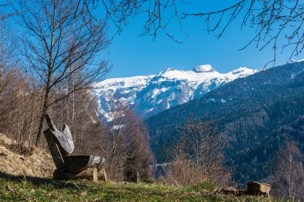 Spring in Italy, Italian alps, wooden bench, green grass, trees and snow-capped mountains panorama view. The Brenta Dolomites. Trentino, Trento Alps