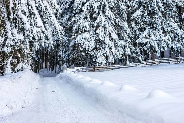 Kışın boş yollar Rohrmoos-Untertal, Schladming, Schladming-D