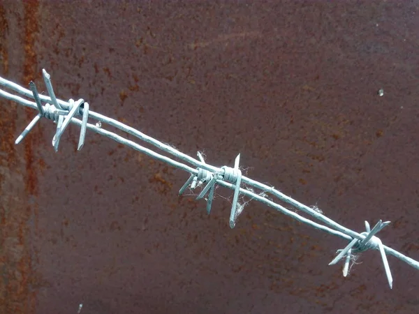 Barbed Wire Background Rusty Sheet Iron — Stock Photo, Image