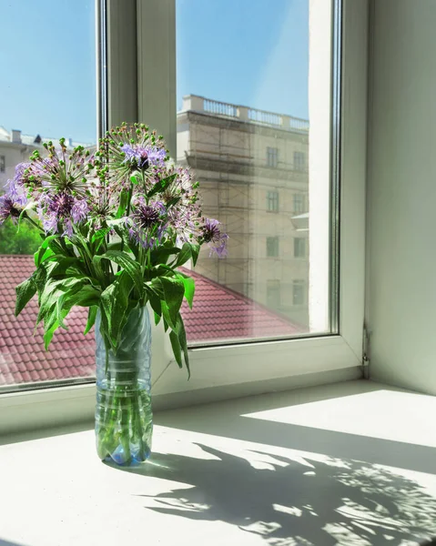 Wildflowers stand in a vase on the window. Outside the window is the city. Windowsill white