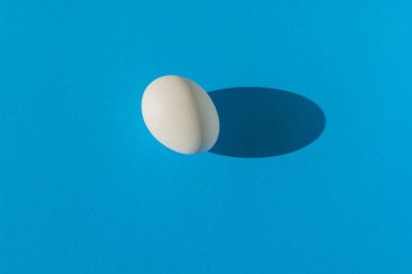 Mavi arka planda sert bir gölgeyle çekilmiş kaynamış bir yumurta. Bir desen için şablon.
