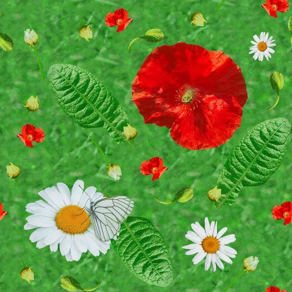 A repeating pattern of summer flowers. Red poppies, white daisies, green leaves, green background. Seamless texture for packaging, for wallpapers.