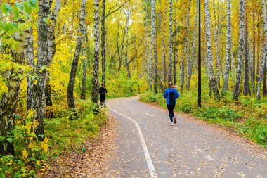 Krasnoyarsk, Rusya, 21 Eylül. Sibirya 'daki sonbahar ormanlarında yürüyüş ve spor yolu. Dışarıda koşmak sağlığınız için iyidir..