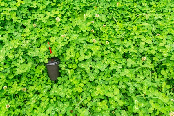 Una Taza Café Papel Negro Con Una Pajita Roja Lanza —  Fotos de Stock