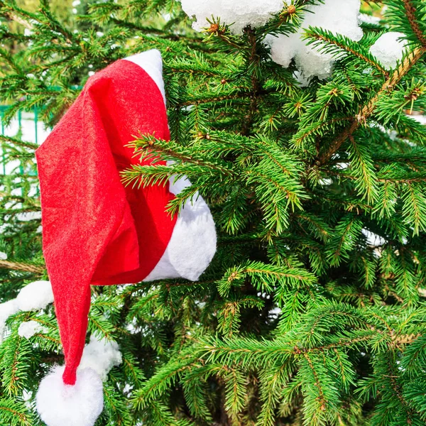 Sombrero Rojo Santa Claus Rama Árbol Navidad Símbolos Tradicionales Año — Foto de Stock