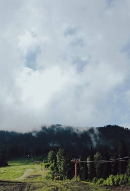 Güzel manzara, orman, alan ve gökyüzü. Orman nehri. En iyi manzara yaz. Dağlar ile Manzara Yaz doğa nehir manzara. Yeşil ormanın içinden akan dağ nehri. Rusya'da Altay.